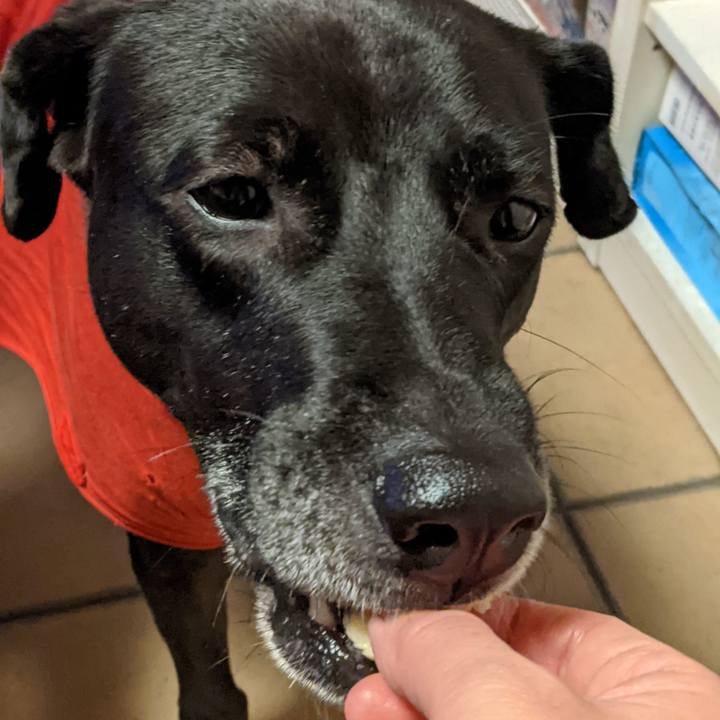 2ceca324 7873 4afe a440 1dfa4772bd8c 1637838637304