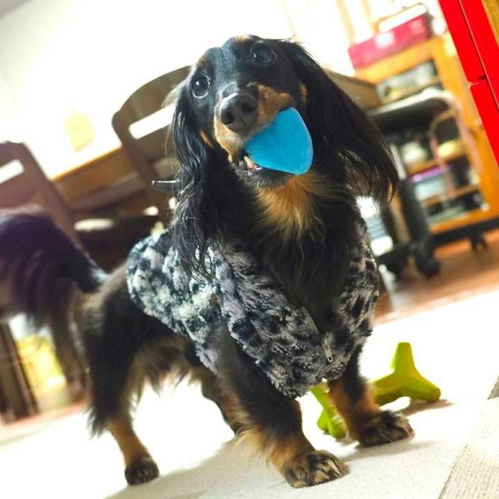 2cecc081 d33d 401f a4f2 50deb828ec27 1515724289172