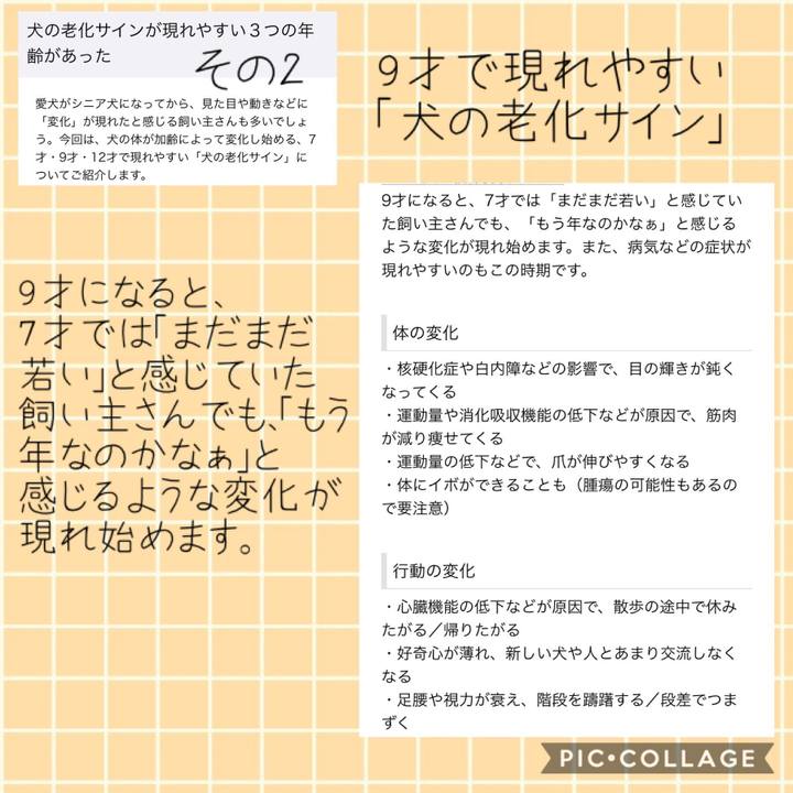 2cecceb5 6a2d 4650 8bb0 1f7eae4843af 1541398782686