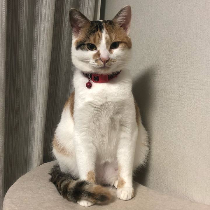 2ced16ac 4c22 4f91 a4a1 b453a78a7f22 1579616387847