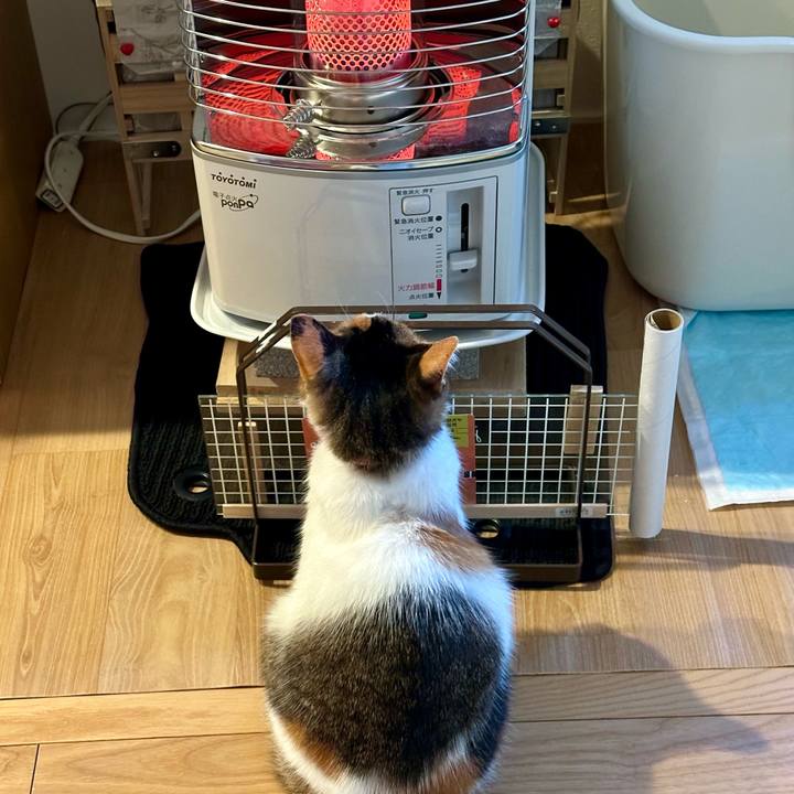 2ced2e0c 0b2f 4def 9798 1e9946ff8c34 1701586505086