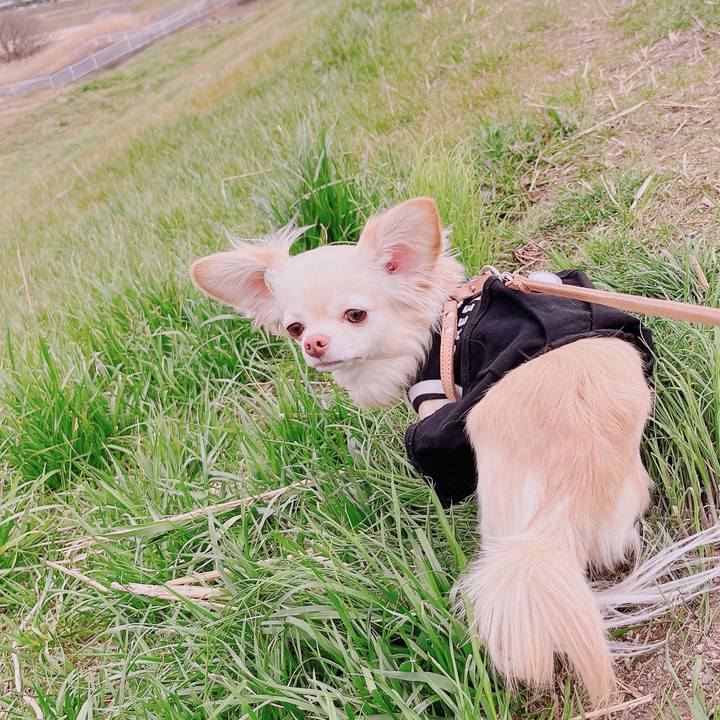 2cedb504 958a 4773 b56f 5a71da2519df 1677744626517