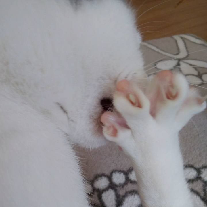 2cedf4ad e973 4ea8 b74b a041d7d96ff1 1552804609006