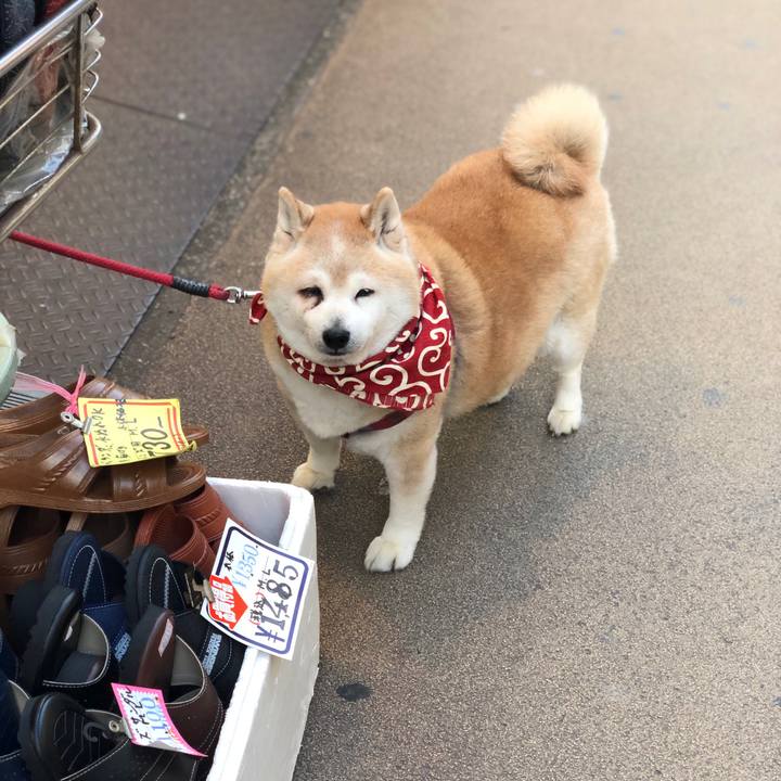 2cee406c 29e2 4f64 94e7 a507f32b22a5 1584452013164