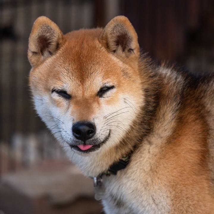 2cee4d2b 658b 4cf3 9f30 310ba2997a43 1760103866732