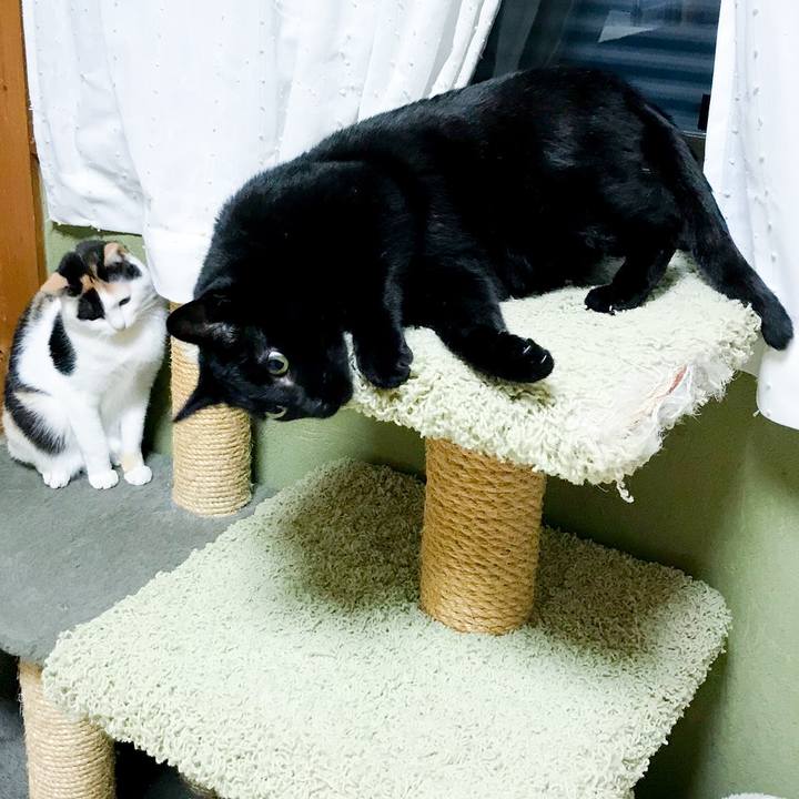 2ceea30a e00f 49e9 a30d 747c57ef4d44 1514939274441