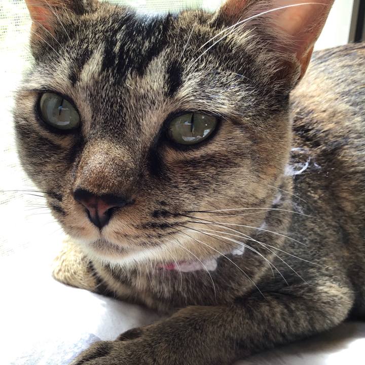 2ceea988 c7df 4b2b a0fb 31c44c73f3aa 1595725235663