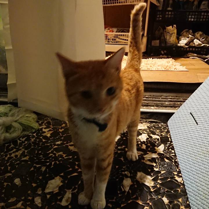 2ceeb26d 0545 4266 a48e 9d552595cdfa 1568030042454