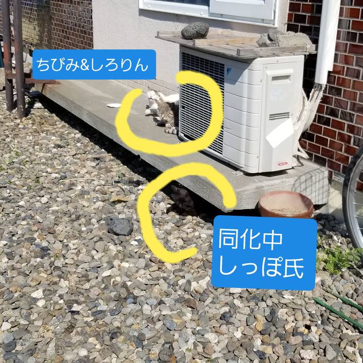 2ceeb458 d845 4f0c a5e5 77fa1b9f1a23 1688019783183