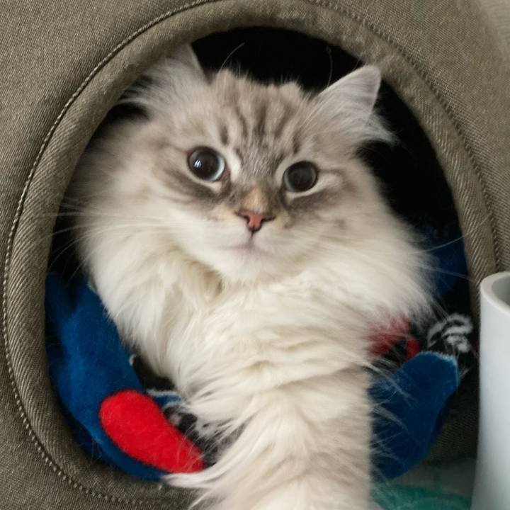 2cef0ae3 68b0 4a10 90ca 1eb10aa85481 1703509955072