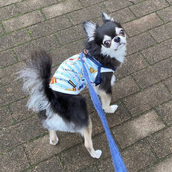 2cef1ebc bc8c 4af3 9bdd c7381429bfeb 1686409628306