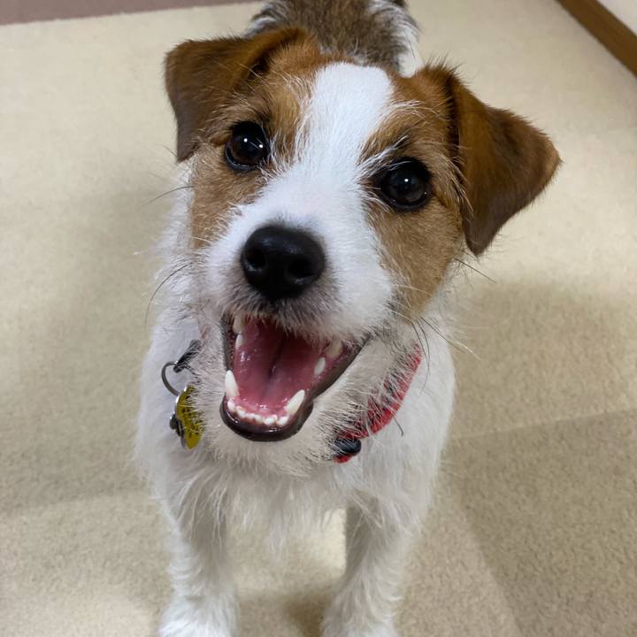 2cef31b4 9082 4b60 b9e4 7d4ed54238dd 1653483039347