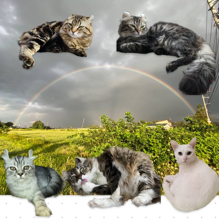 2cef478c 3c9e 4cc3 943b 25f2966e3bbc 1724651573999