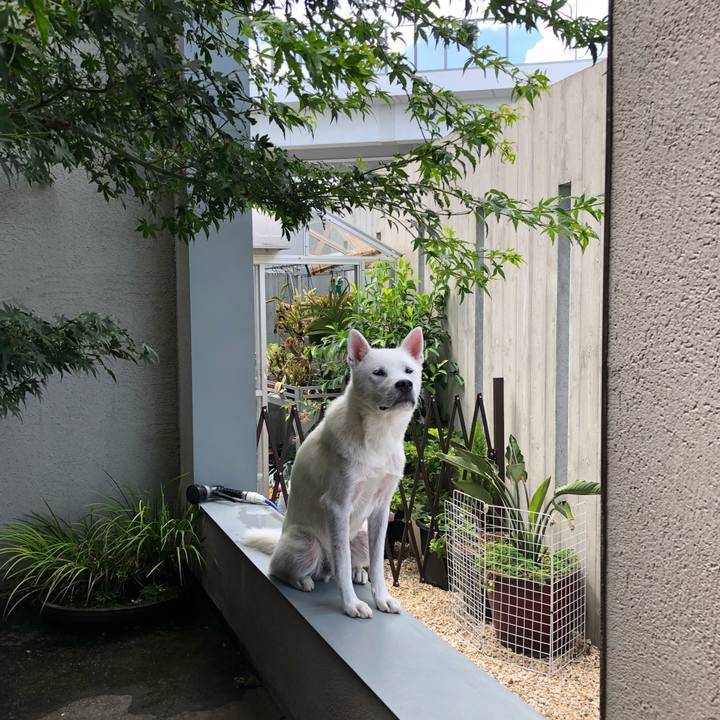 2cef4f4d 4d8e 4526 b2d7 4c765be69af5 1532224706574