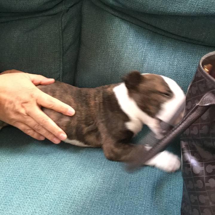 2cef5fa6 1faf 4840 9d5a 43a1fcdc2139 1546242125049