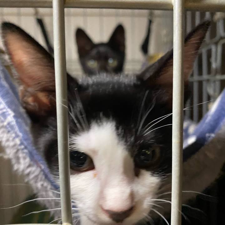 2cef7144 0955 4b19 8144 e14a90dc25eb 1626693361207