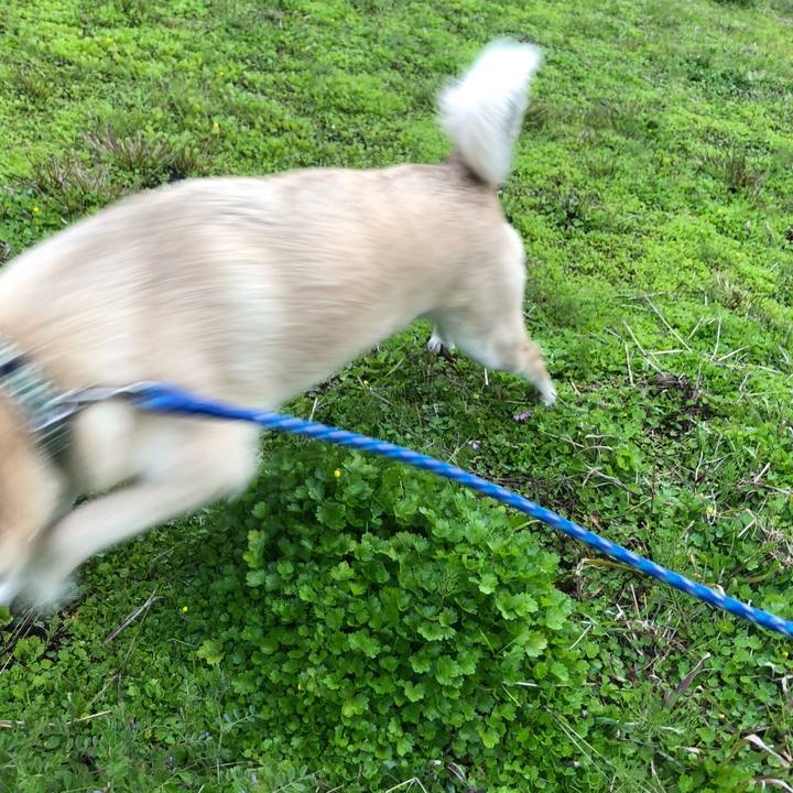 2cef7716 ce30 41a8 9073 b8124fca045f 1585921066457