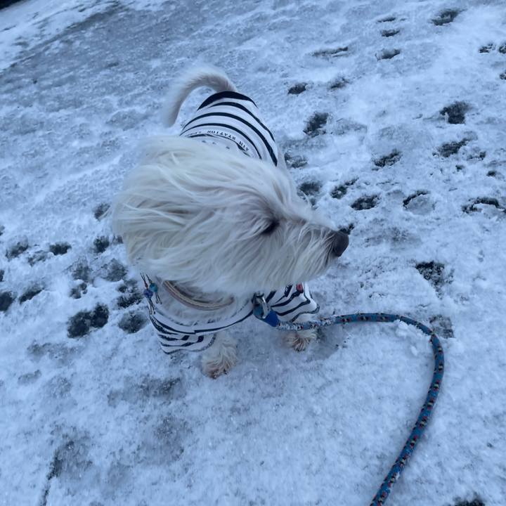 2cef77c4 8034 4eac 93d1 be0c0b336395 1734856905336