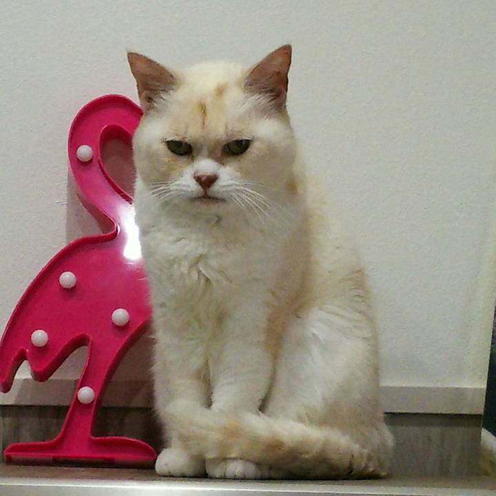 2cefb7eb d901 4ffd b98a 6280a59664ae 1560432752604