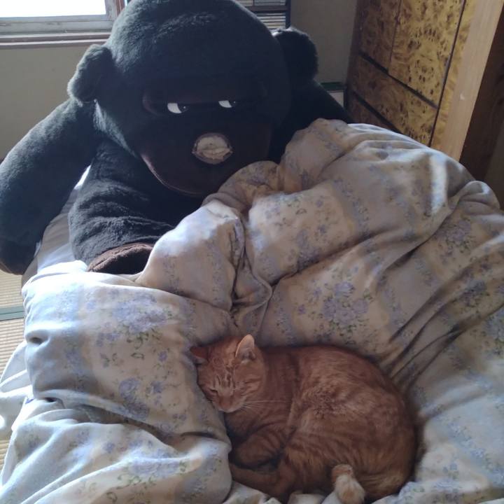 2cefd7d5 9971 4b51 9b95 bc491e286df4 1666842482667