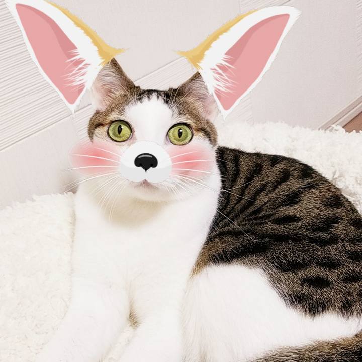 2cefe1a5 671b 496f 942a 6d981bba4bdb 1551702960159