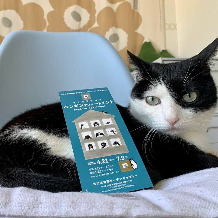 2ceff835 3030 4432 b8f1 525a99125077 1684625554545