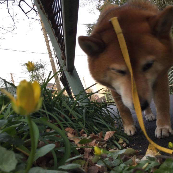 2cf01029 aad9 42af bf74 aed956e431bf 1553682190767