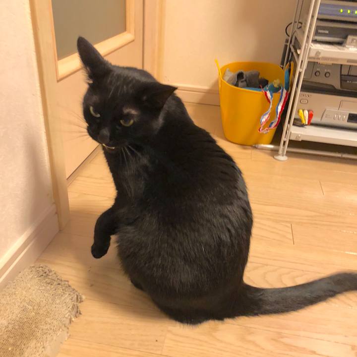 2cf033bc 0c09 4204 b96c f4505887d896 1516361855520