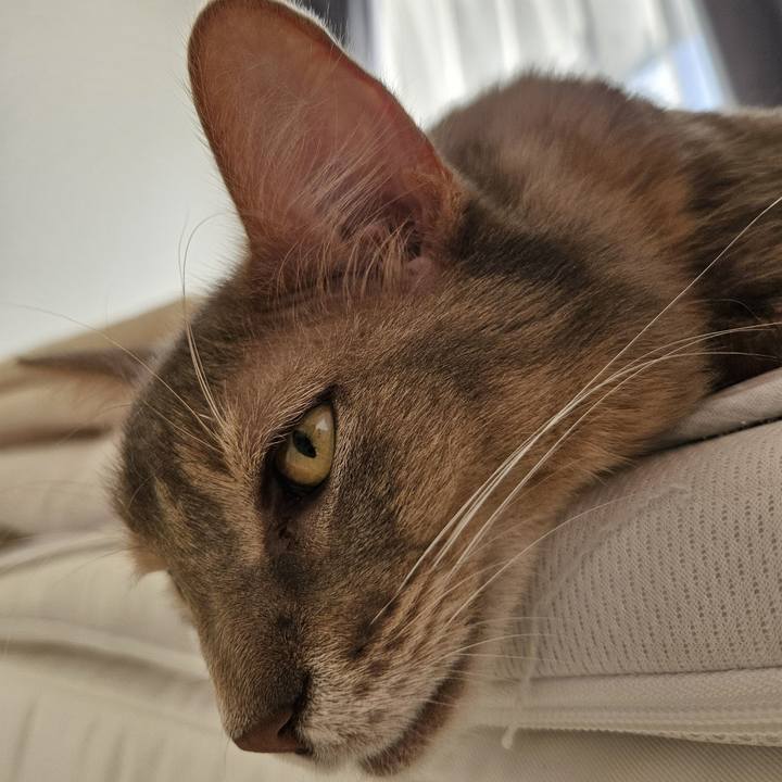 2cf07352 18f3 45fd b953 dff7622a78a2 1728888123456