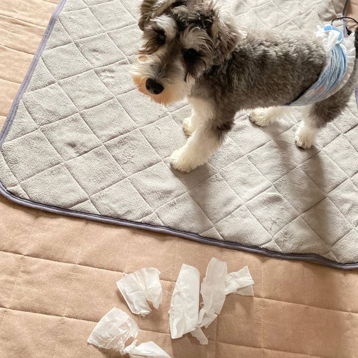 2cf0a6b6 1670 4212 8090 bda057406bf6 1572754434807