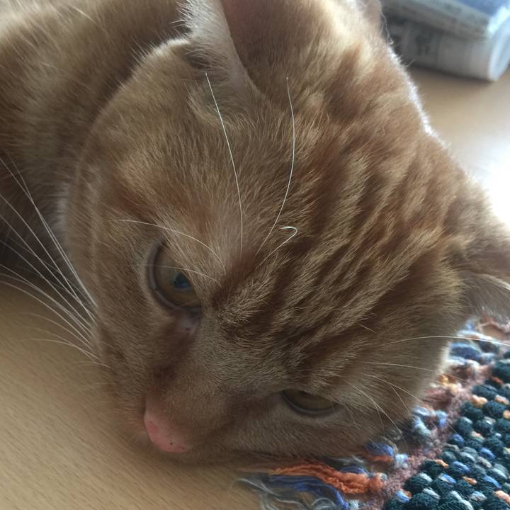 2cf0a6ed 6dbe 499c a256 b9cd18879f16 1530328882790