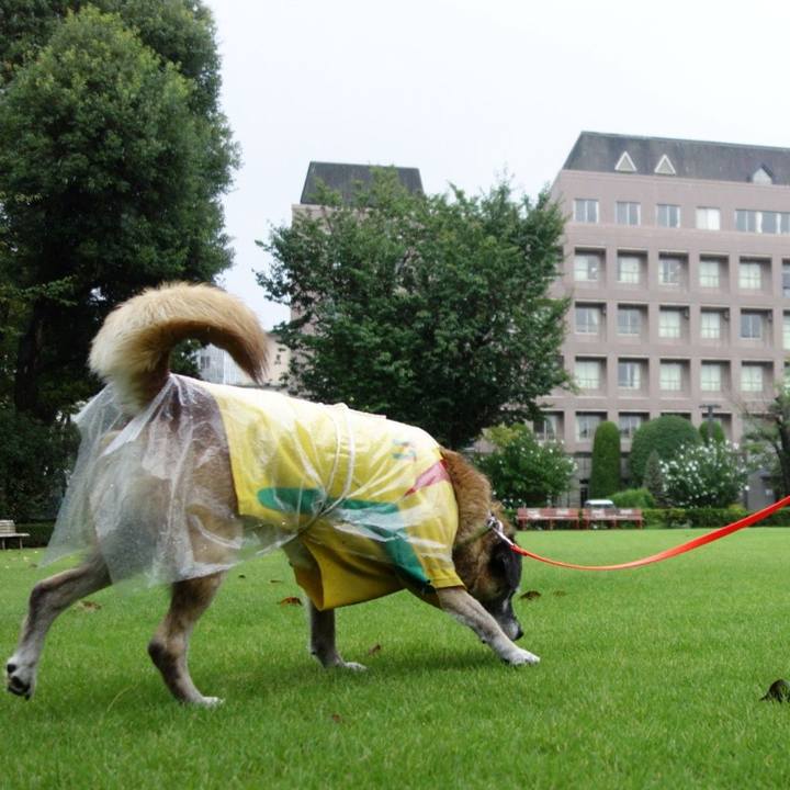 2cf0cbc0 6ac6 4ee2 b127 f5967e207858 1535848772769