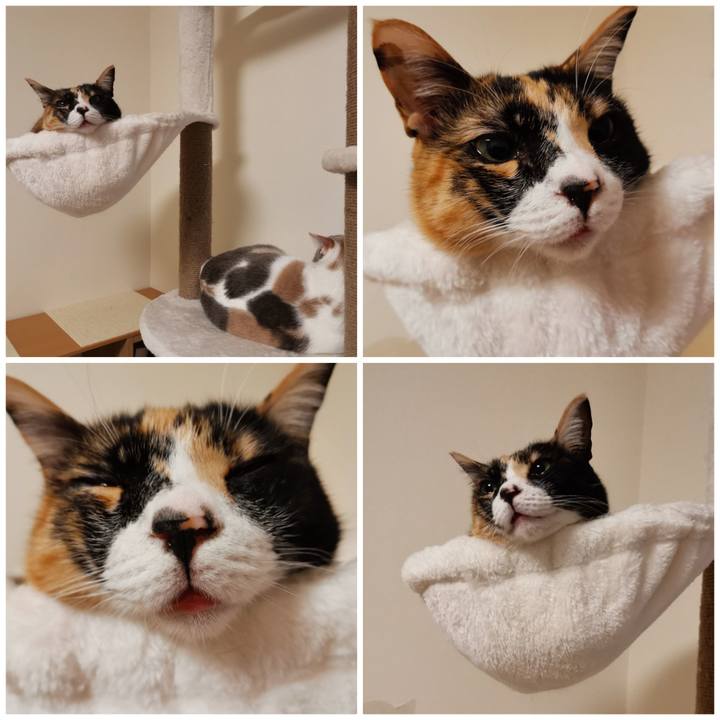 2cf0febb a48d 407c bf9e 925a9d5fbae2 1644985100119