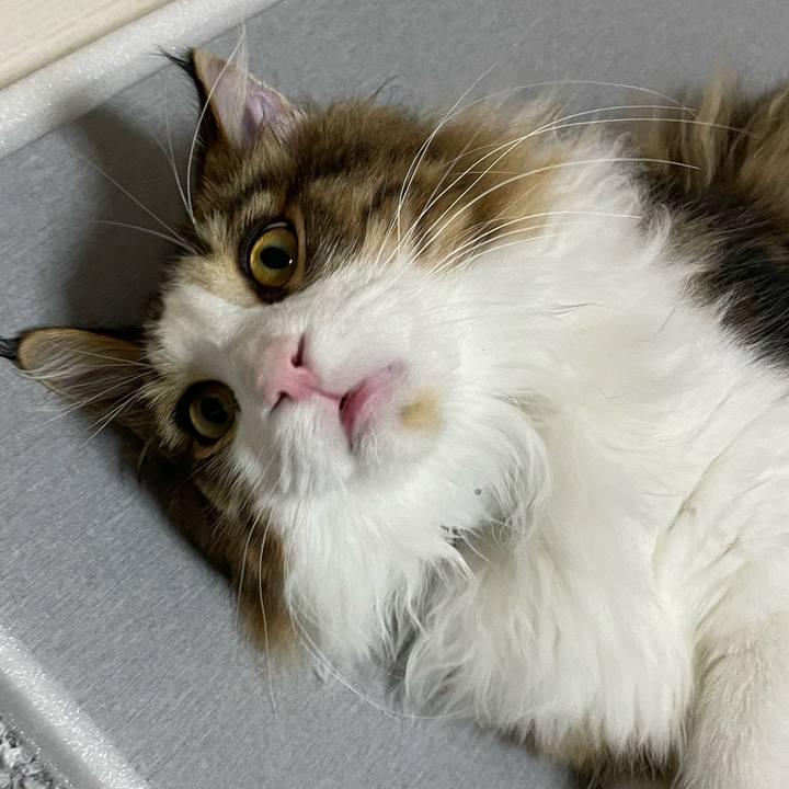 2cf167dc 9d55 4a13 a443 65921fce6a08 1640769139241