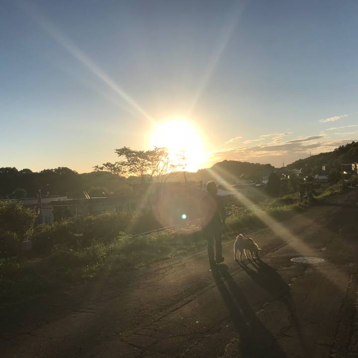 2cf19737 684c 4acc 8b10 d54a29589522 1537439013579