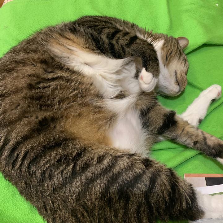 2cf1aa52 3763 4562 9b82 c4a702c68eb7 1557649748624
