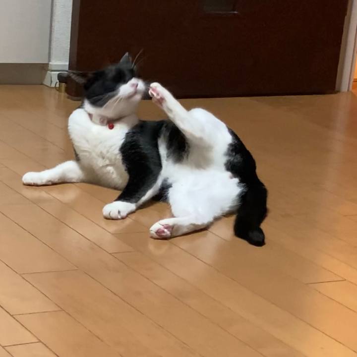 2cf1c4d6 1488 4b5c 9b5c 5c156cae6424 1659431410829