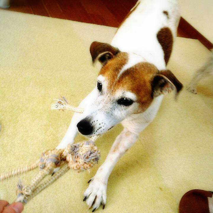 2cf1ca83 5bd7 4d26 9b72 e8db78f02c8a 1514000712846