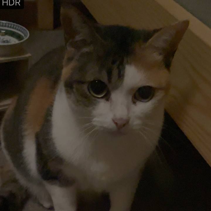 2cf1e32f fe01 475a 80aa 14473320e762 1716669145970