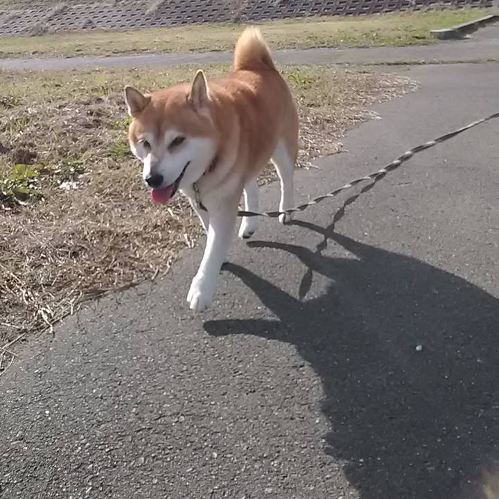 2cf1e5ef 9fa9 4a02 abeb e89cff929e22 1701906258225