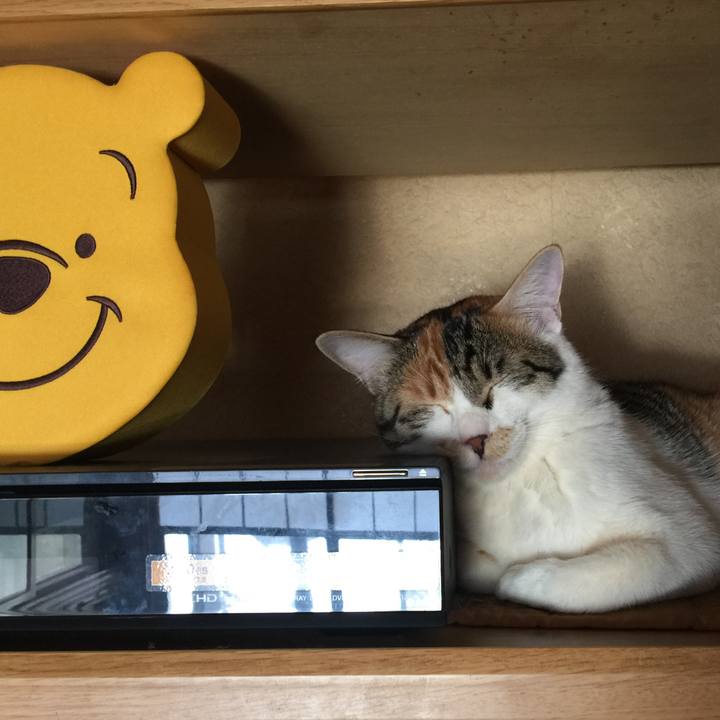 2cf20411 91d3 4dc4 80e6 221d6c749f87 1646798964098