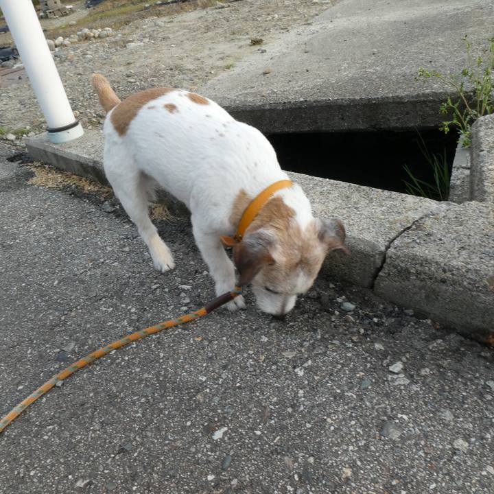 2cf21719 cf2b 4f52 9adf 18455dda443d 1588504605386