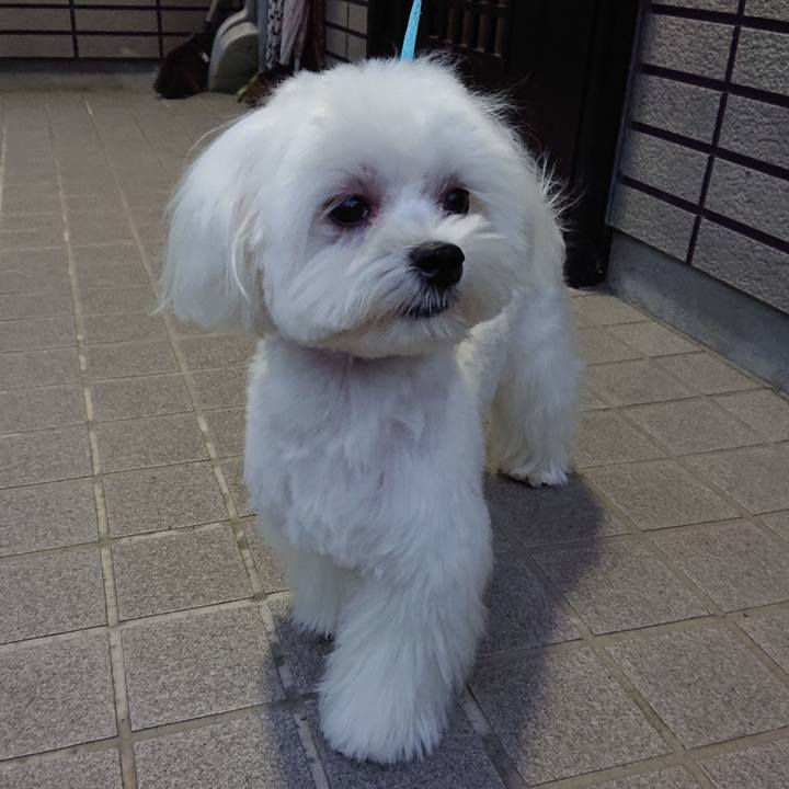 2cf24d72 2371 42f8 968f 751c9b4014b1 1568991206266