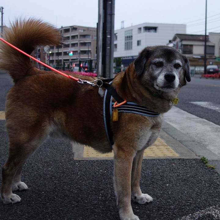 2cf25207 d2d8 4956 979a eab4f4563a39 1559482508414