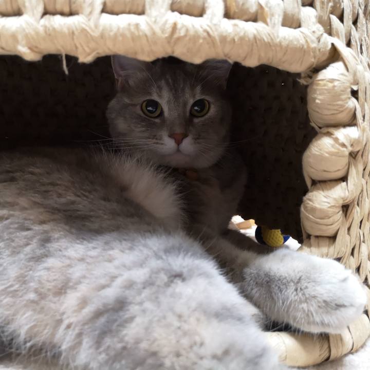 2cf26f08 8df3 44a2 b3b8 637ef52e3017 1563579562251