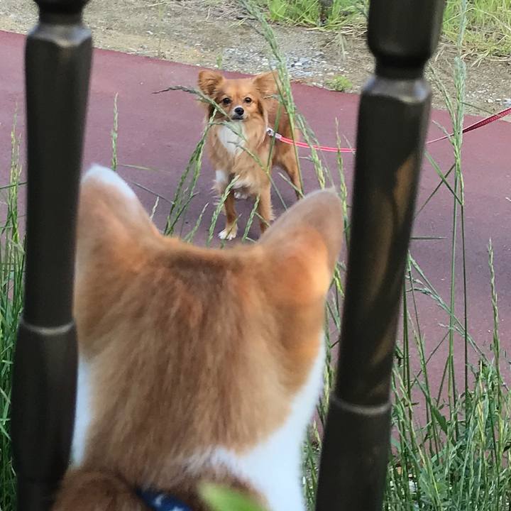 2cf28361 a470 455a 9108 4e669ecf213f 1525506520738