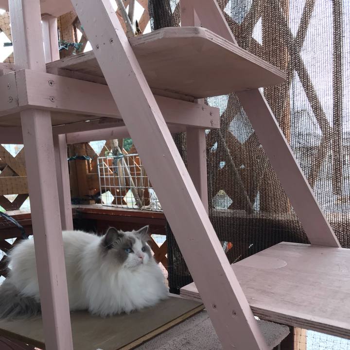 2cf28561 7e63 43db a647 1e5b1f85f320 1574241799538