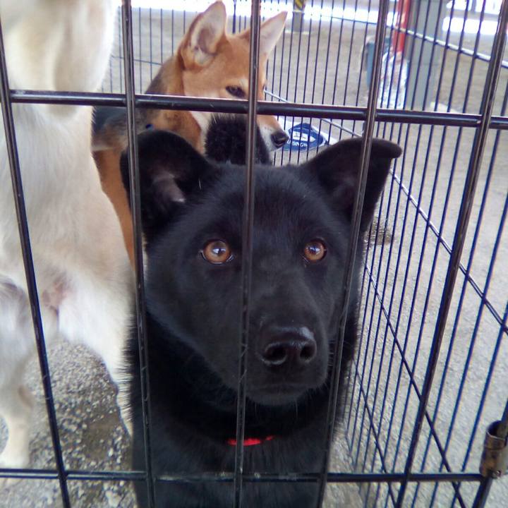 2cf2bc50 955f 47b5 9729 a9363c743d96 1523156359398