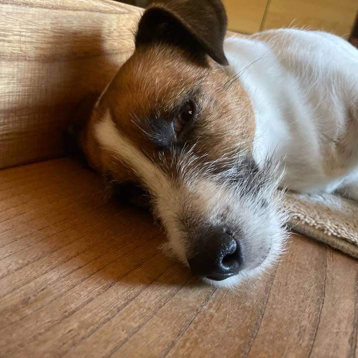 2cf2ca1b ed80 47f0 a1ed a14faa7424b6 1753319837110