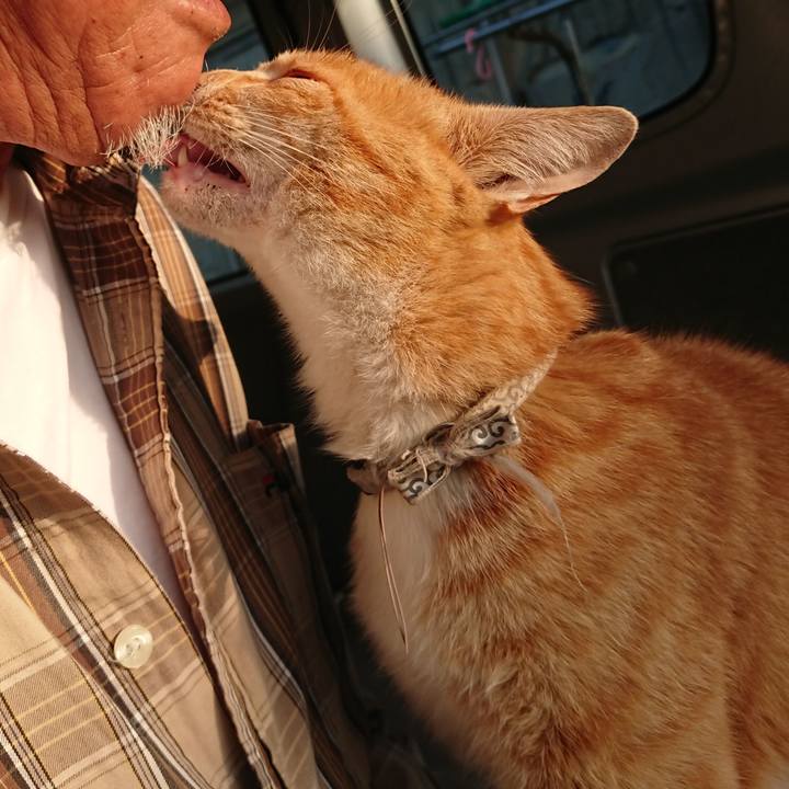 2cf2df07 f9b6 401a 8759 c48cab6669e7 1591218313908